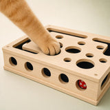 Cat paw playing with the Interactive Cat Puzzle Box