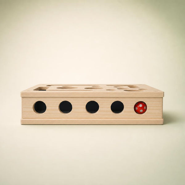 Interactive Cat Puzzle Box front view showing hunting holes